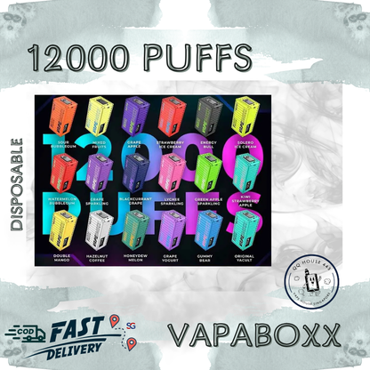 Vapaboxx disposable vape device packaging with flavor options from SG VAPE HOUSE QQ 443